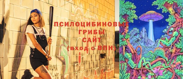 стаф Медвежьегорск