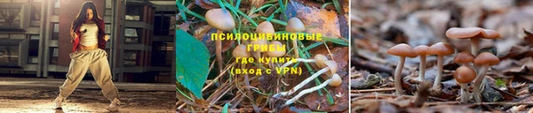 индика Алексин