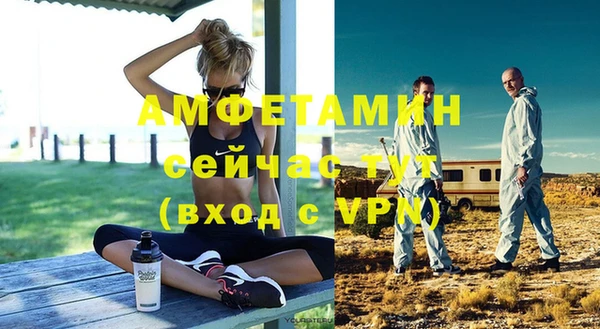 индика Алексин