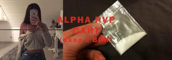 индика Алексин