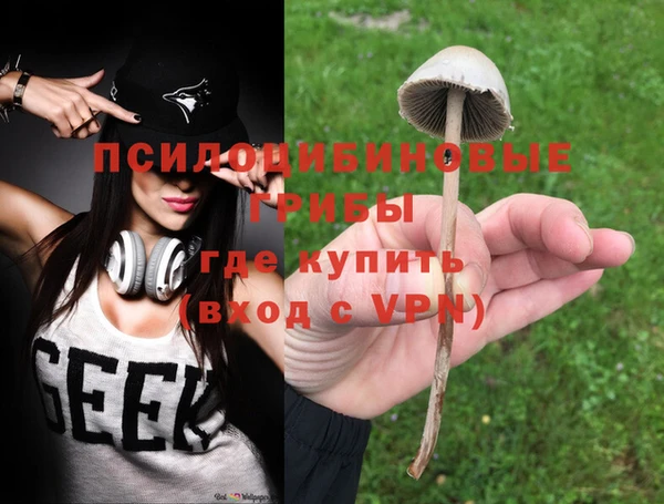 индика Алексин