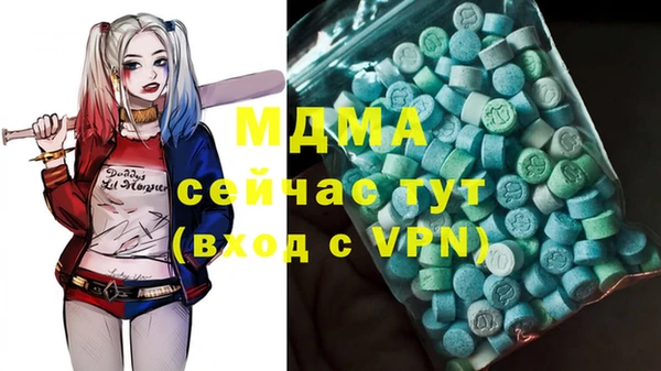 индика Алексин