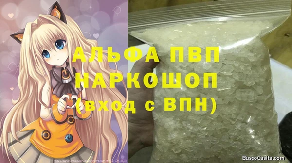 индика Алексин