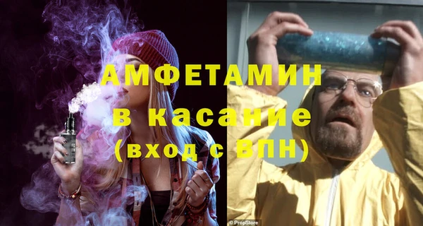 индика Алексин