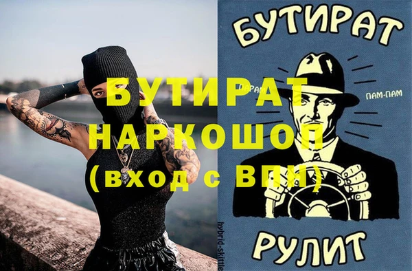 индика Алексин