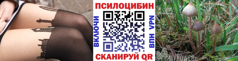 blacksprut рабочий сайт  купить закладку  Якутск  Галлюциногенные грибы мухоморы 