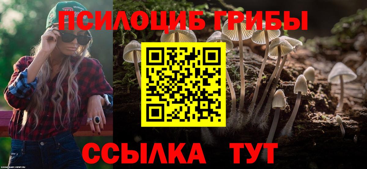 Якутск  где купить наркоту  Вход с VPN  Псилоцибиновые грибы Cubensis 
