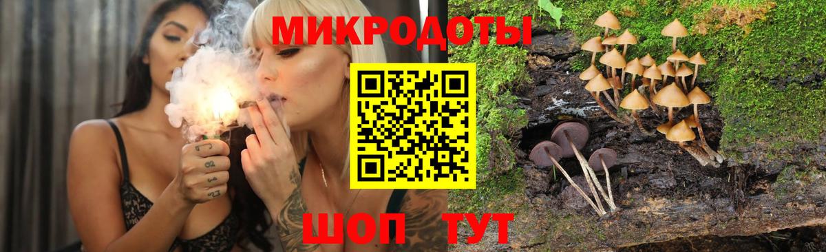 Галлюциногенные грибы Psilocybine cubensis Якутск